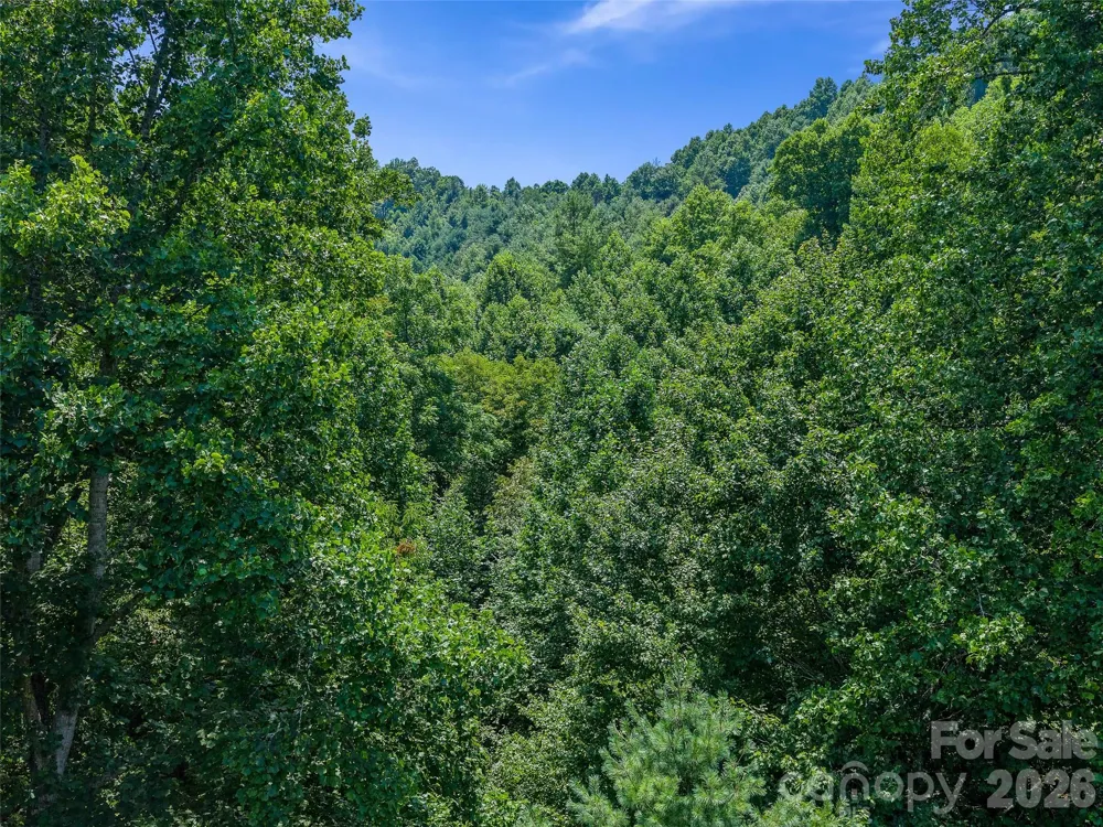 000 Cove Mountain Road Burnsville, NC 28714