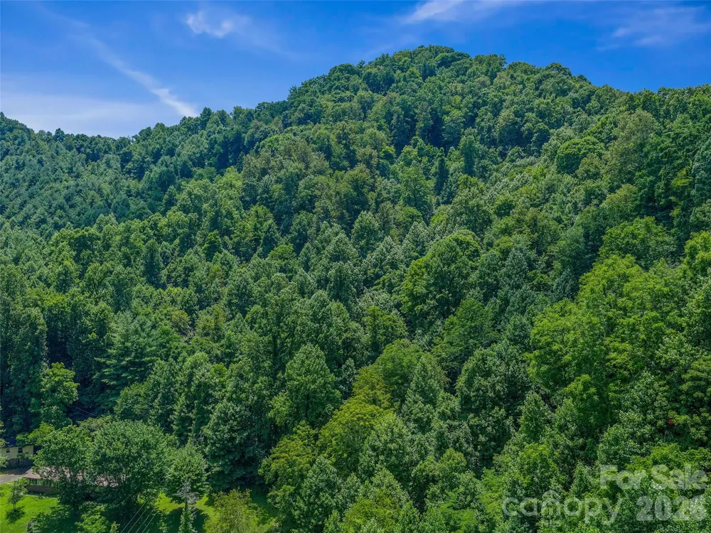 000 Cove Mountain Road Burnsville, NC 28714