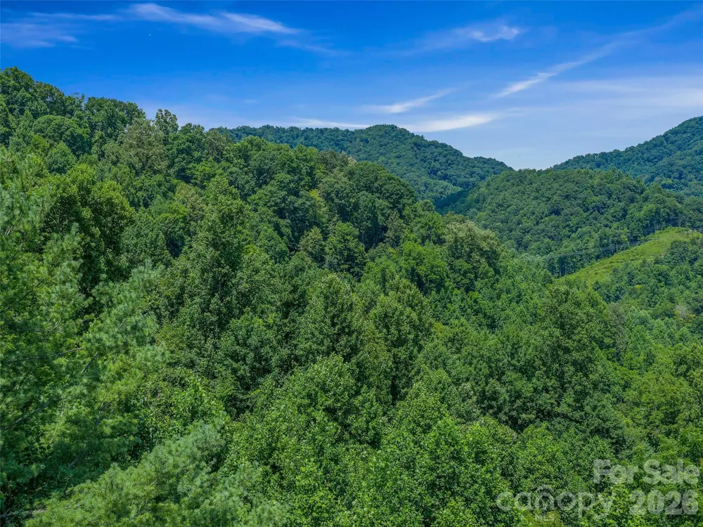 000 Cove Mountain Road Burnsville, NC 28714