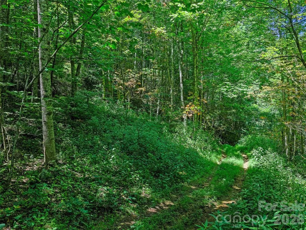 000 Cove Mountain Road Burnsville, NC 28714