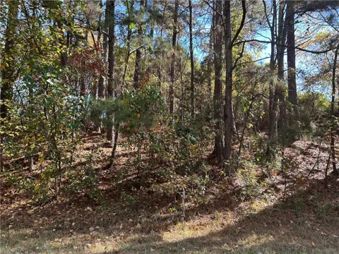 2090 Lee Peters Road