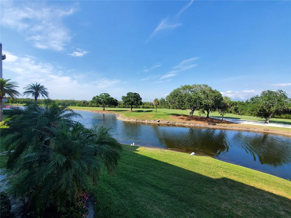 2323 FEATHER SOUND DRIVE #205 Clearwater, FL 33762