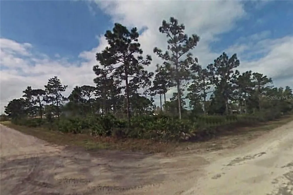 APOLLO AVENUE St Cloud, FL 34773