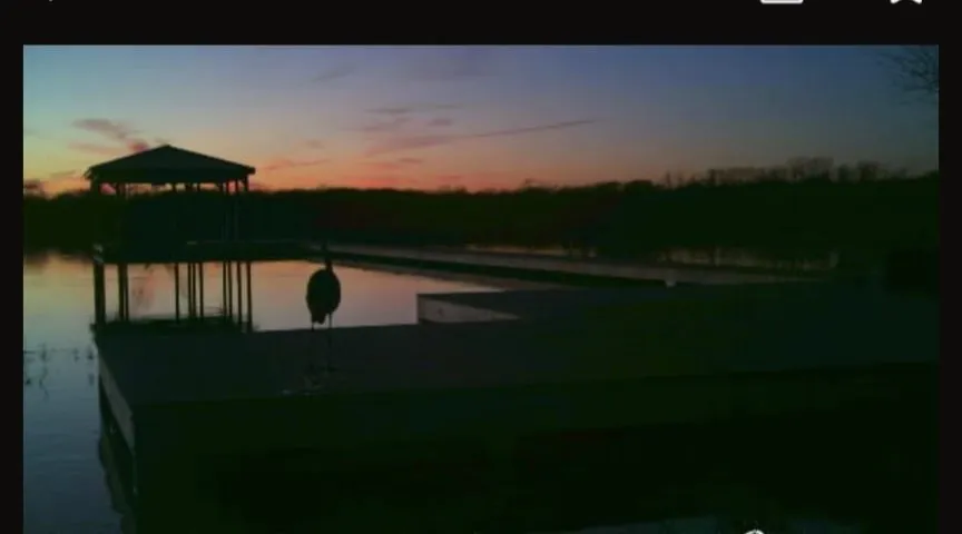 299 Sunset Cove East Tawakoni, TX 75472