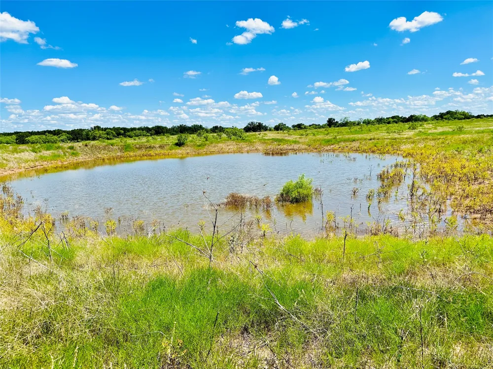 2017 CR 188 Cross Plains, TX 76443