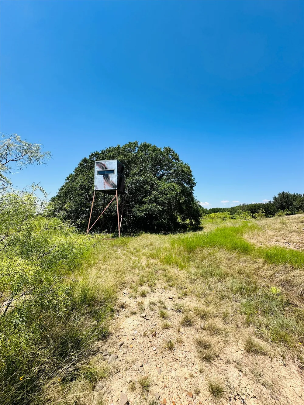 2017 CR 188 Cross Plains, TX 76443