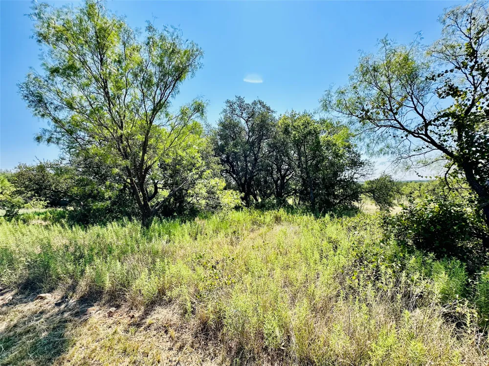 2017 CR 188 Cross Plains, TX 76443