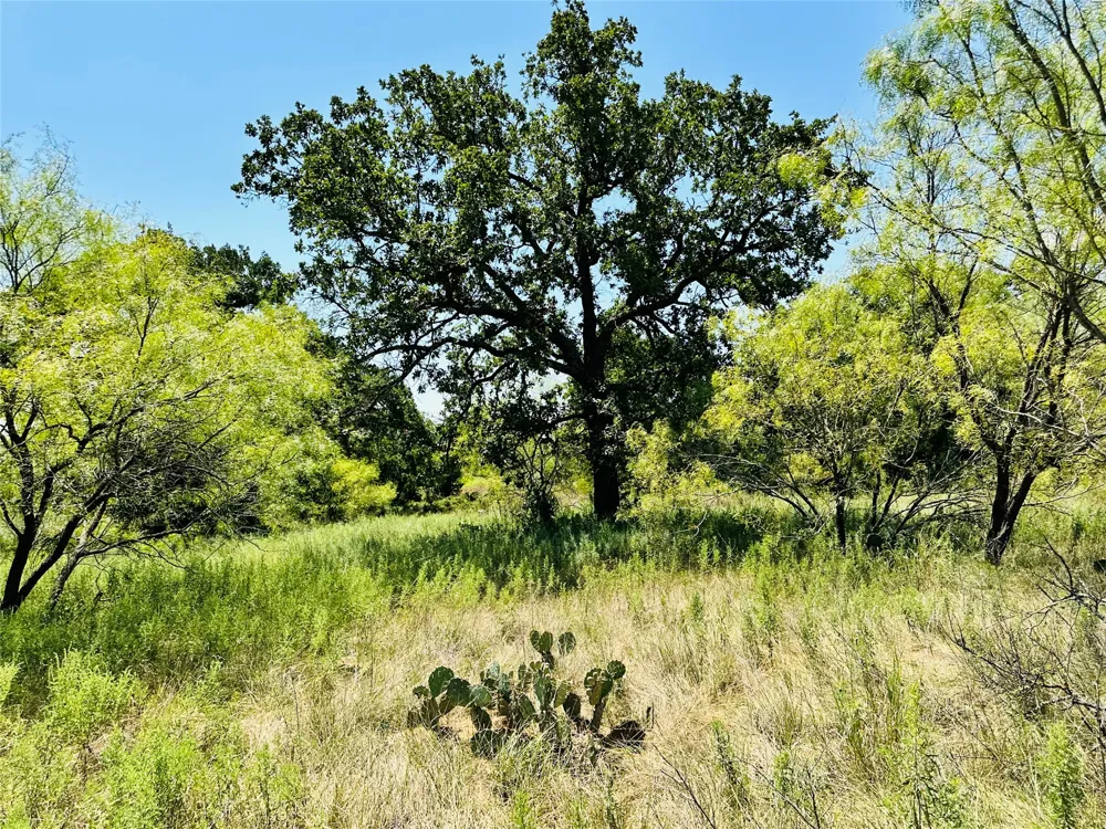 2017 CR 188 Cross Plains, TX 76443