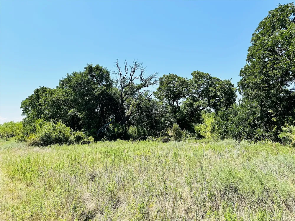 2017 CR 188 Cross Plains, TX 76443