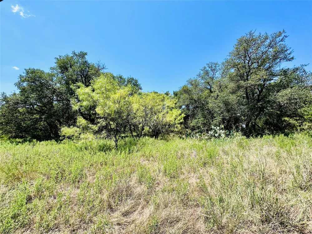 2017 CR 188 Cross Plains, TX 76443