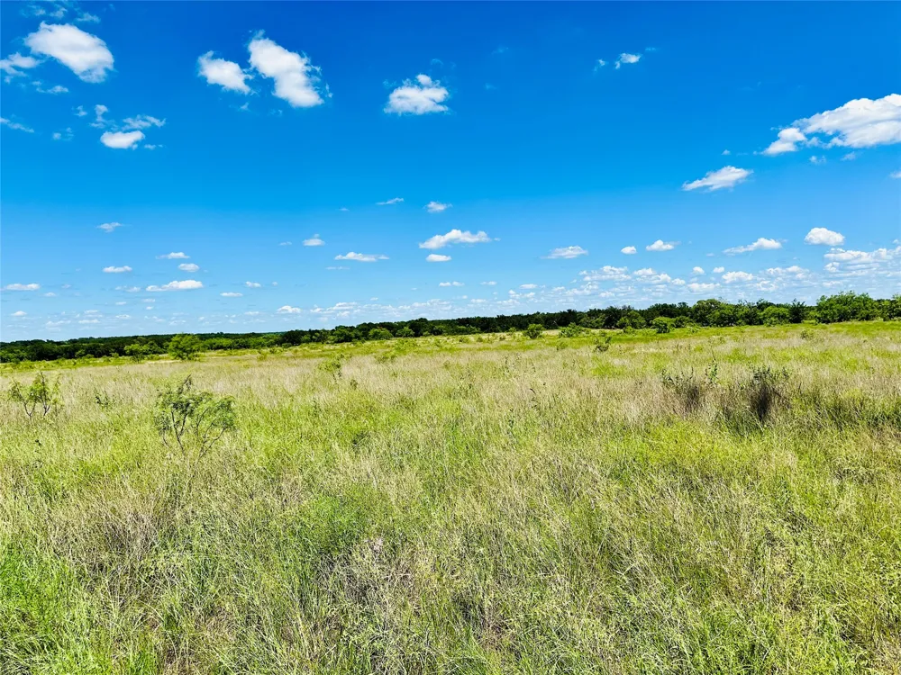 2017 CR 188 Cross Plains, TX 76443