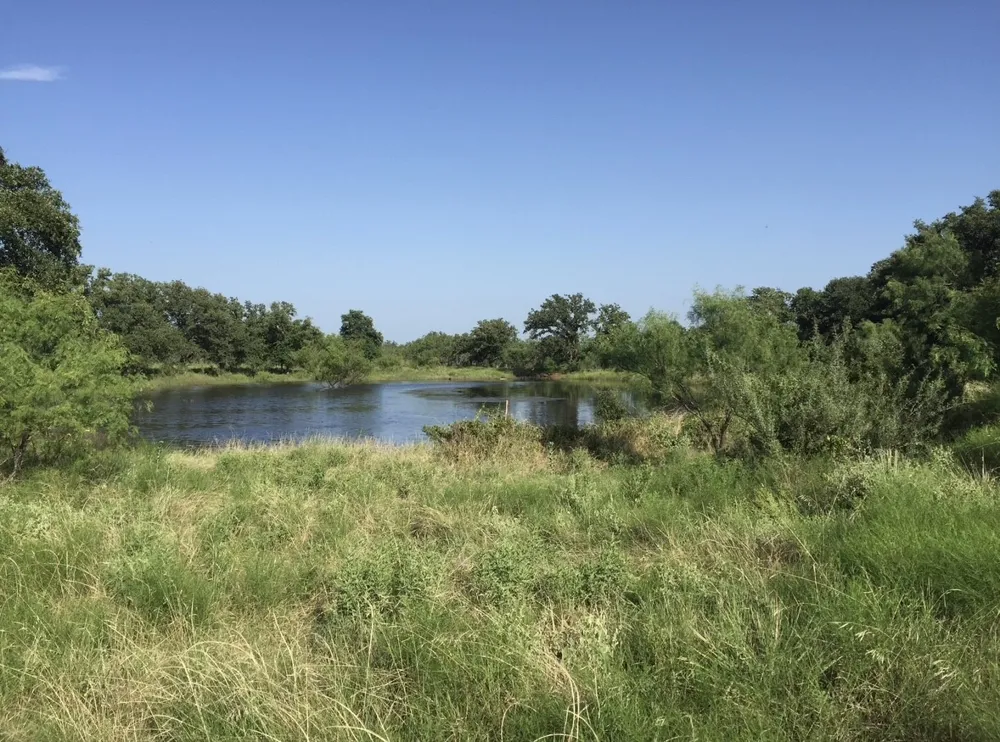 2017 CR 188 Cross Plains, TX 76443