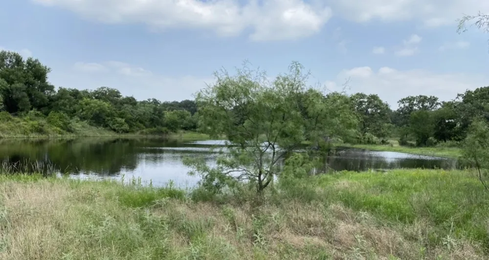 2017 CR 188 Cross Plains, TX 76443