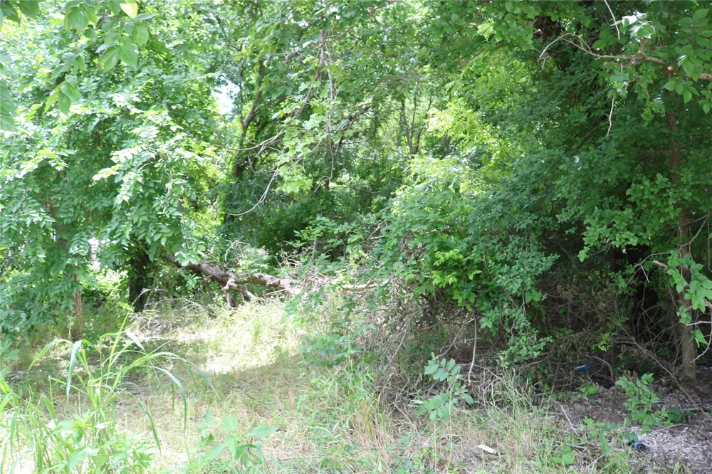 County Road 282 Dublin, TX 76446