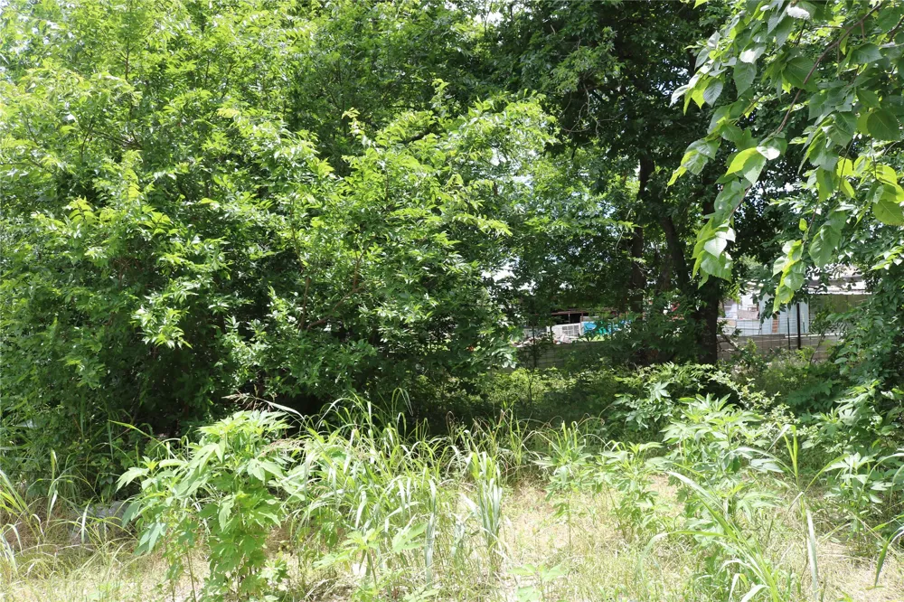 County Road 282 Dublin, TX 76446