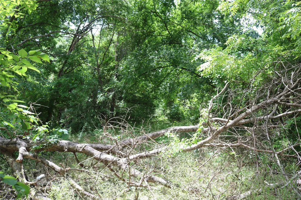 County Road 282 Dublin, TX 76446