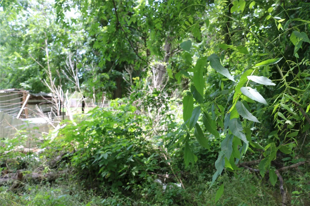 County Road 282 Dublin, TX 76446