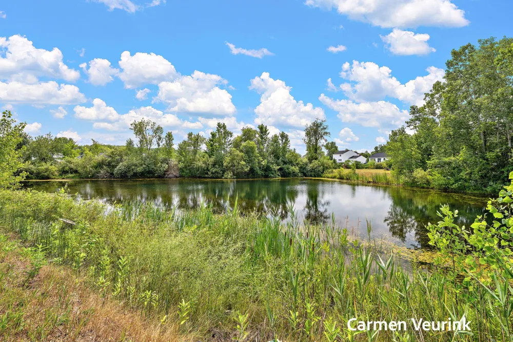 10971 Lance Avenue Allendale Charter Township, MI 49401