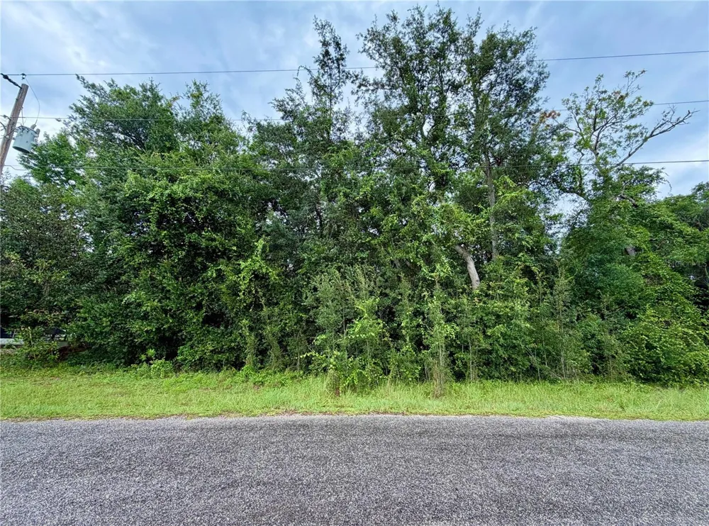 0 SE 175TH TER RD Silver Springs, FL 34488