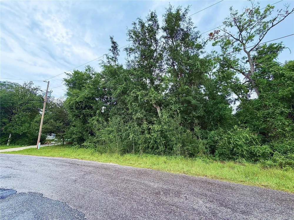 0 SE 175TH TER RD Silver Springs, FL 34488