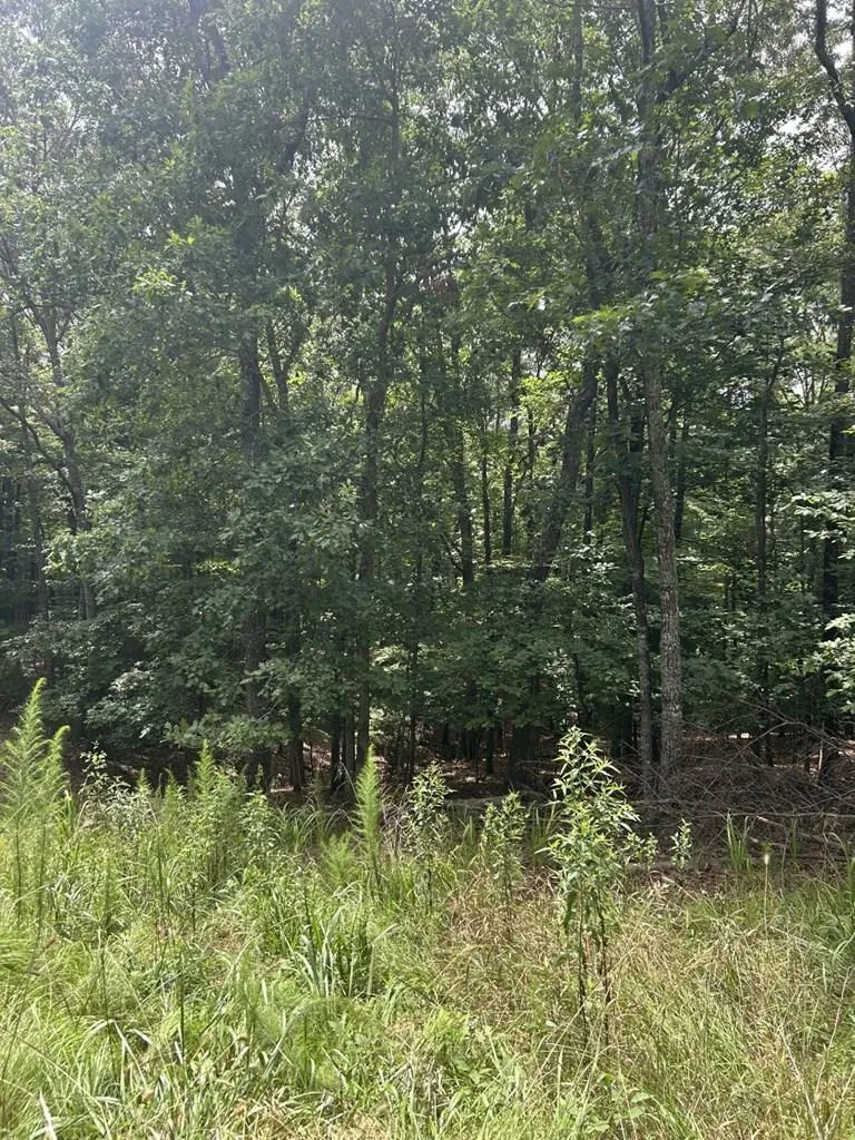 1.5 Liberty Hill Road Morganton, GA 30560