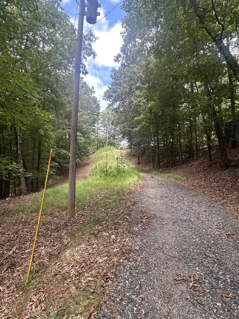 1.5 Liberty Hill Road Morganton, GA 30560