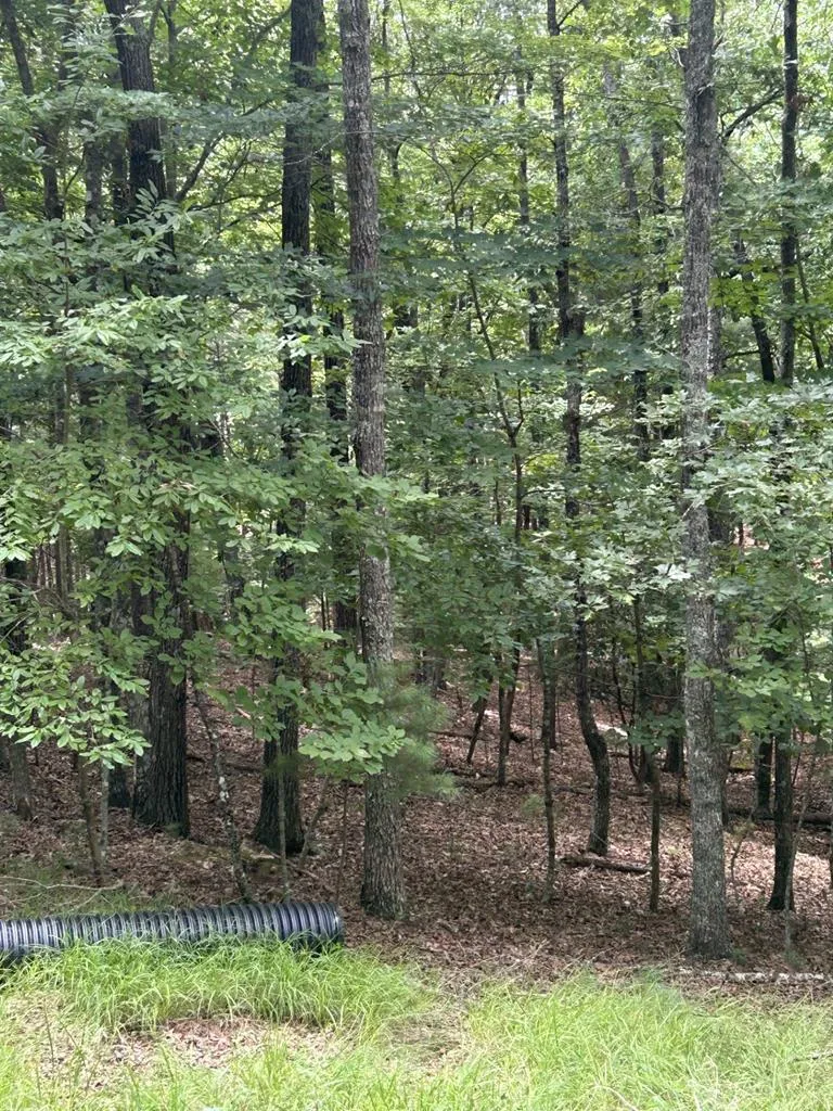 1.5 Liberty Hill Road Morganton, GA 30560