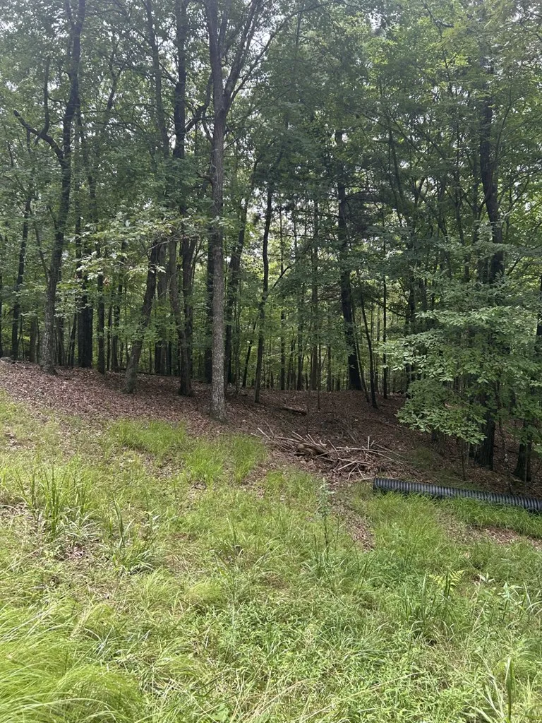 1.5 Liberty Hill Road Morganton, GA 30560