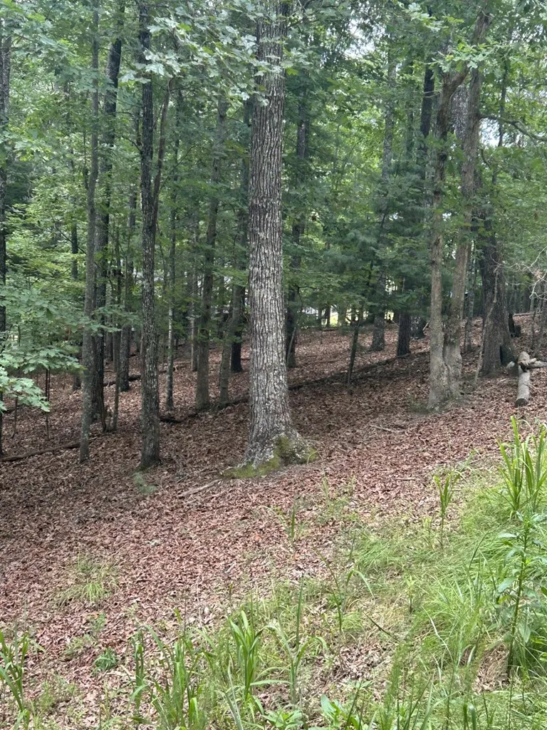 1.5 Liberty Hill Road Morganton, GA 30560