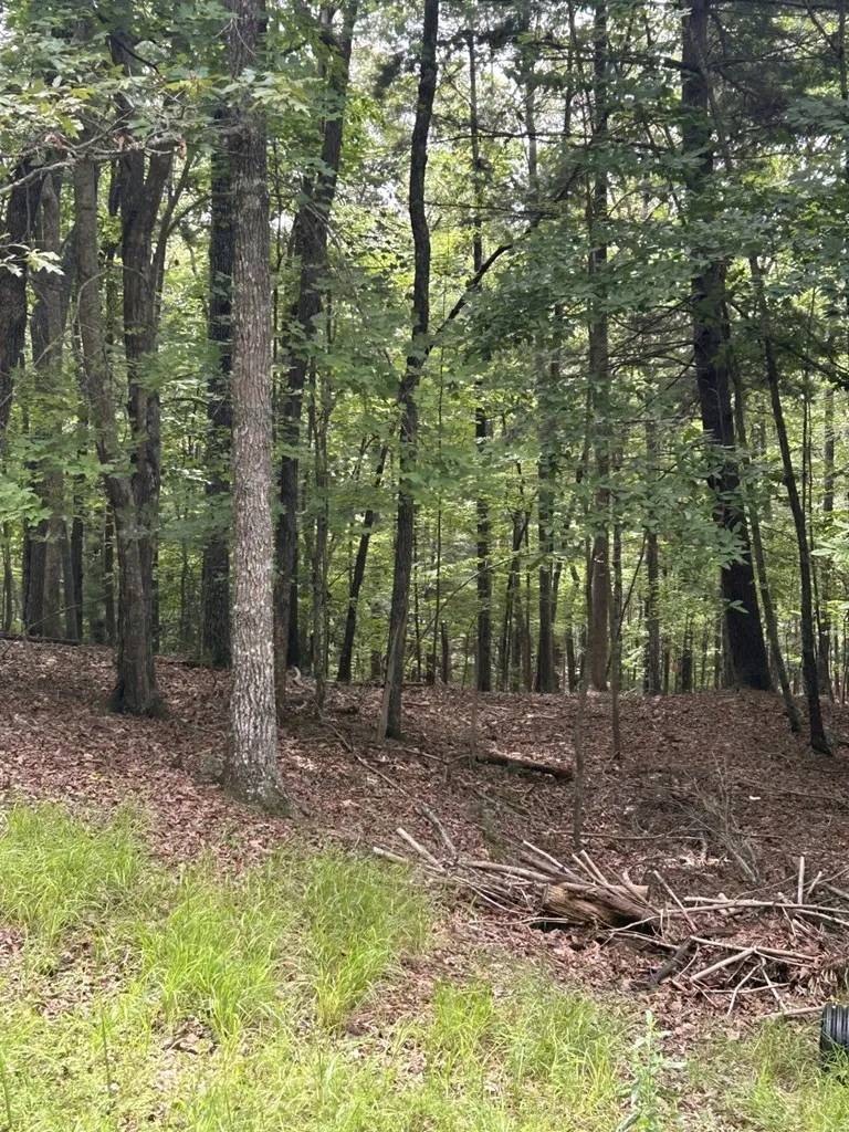1.5 Liberty Hill Road Morganton, GA 30560