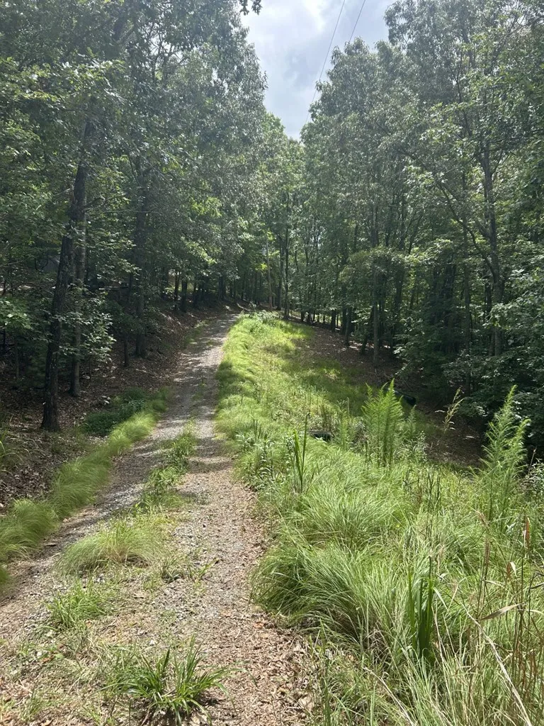 1.5 Liberty Hill Road Morganton, GA 30560