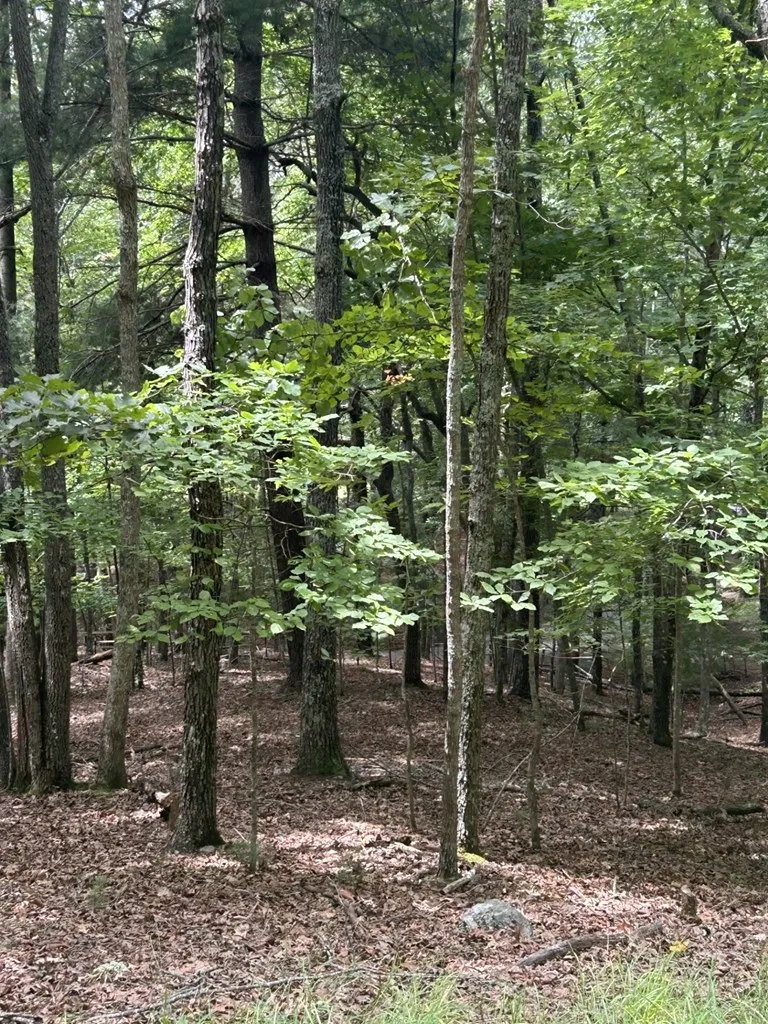 1.5 Liberty Hill Road Morganton, GA 30560