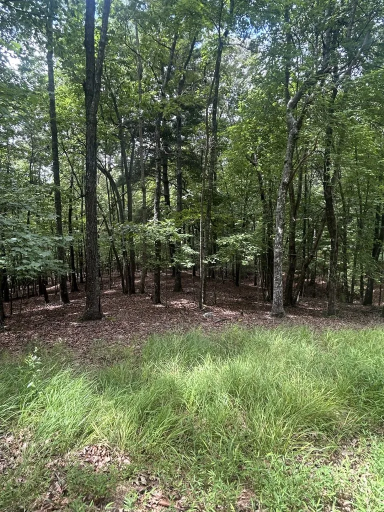 1.5 Liberty Hill Road Morganton, GA 30560