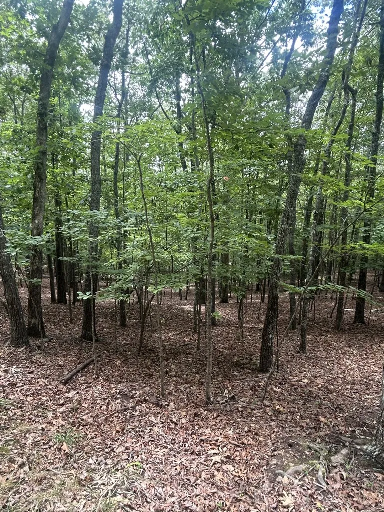 1.5 Liberty Hill Road Morganton, GA 30560