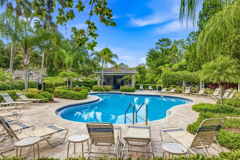 11221 WINDSOR PLACE CIRCLE Tampa, FL 33626