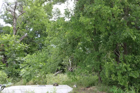 County Road 282