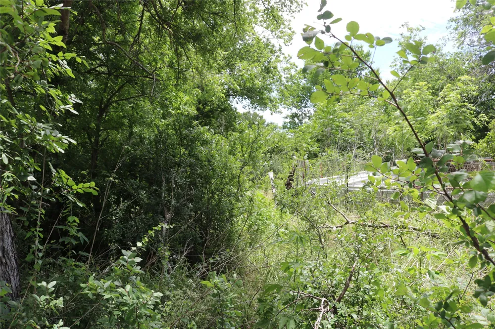 County Road 282 Dublin, TX 76446