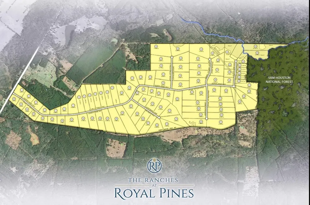 Queen Anne Way Huntsville, TX 77340