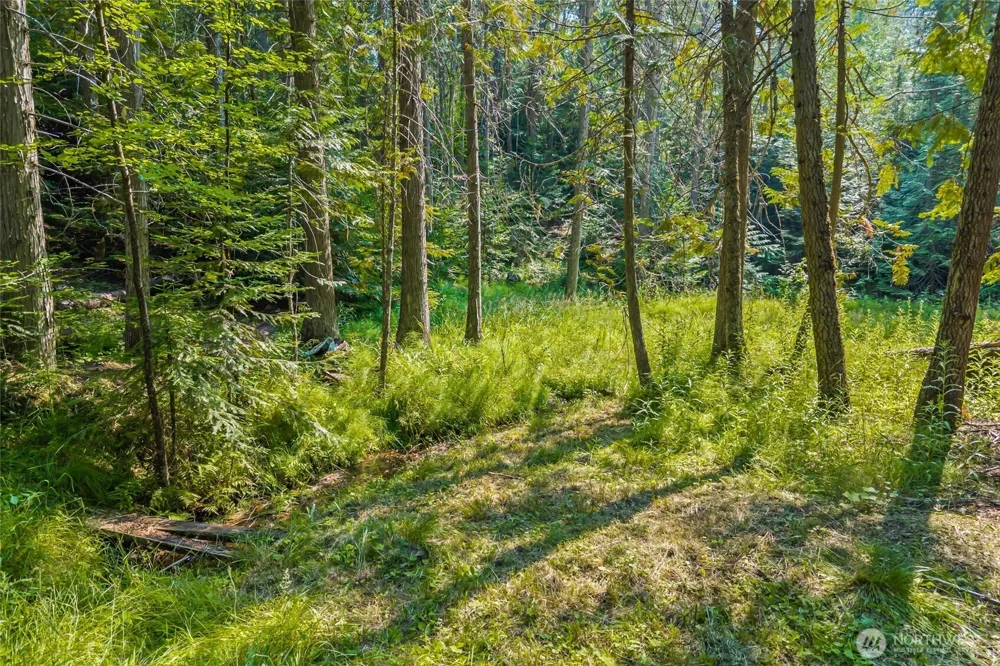 2423 Quinns Meadow Road #L Colville, WA 99114