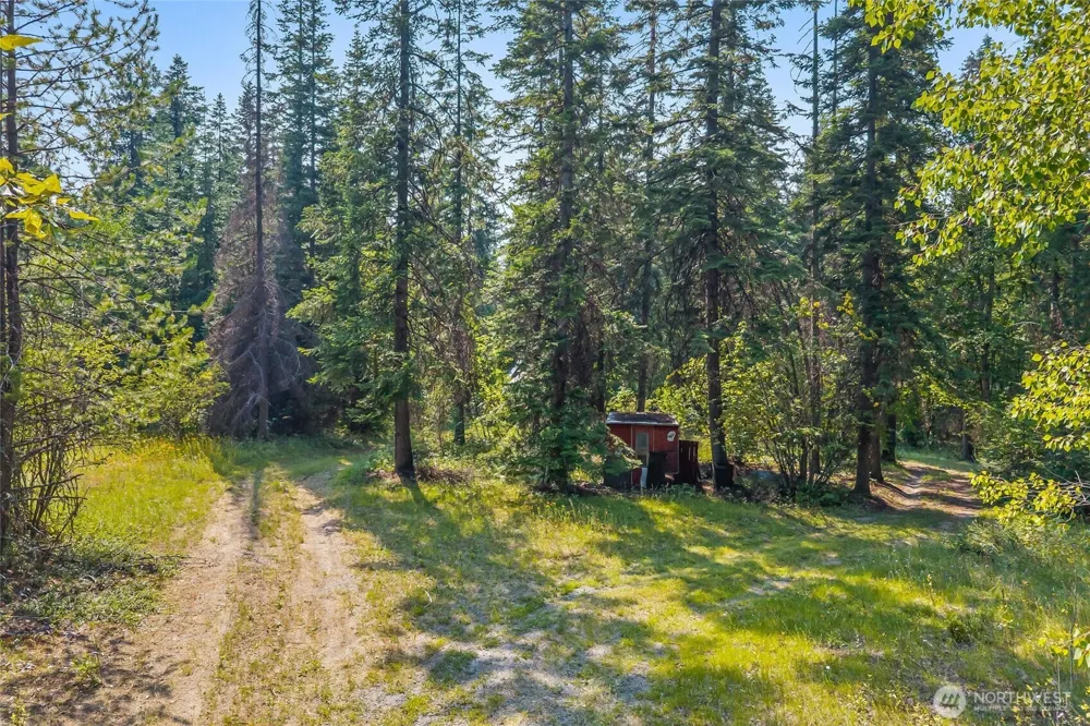 2423 Quinns Meadow Road #L Colville, WA 99114