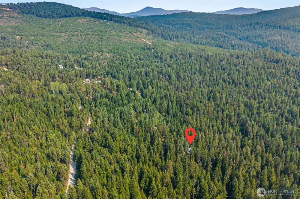 2423 Quinns Meadow Road #L Colville, WA 99114