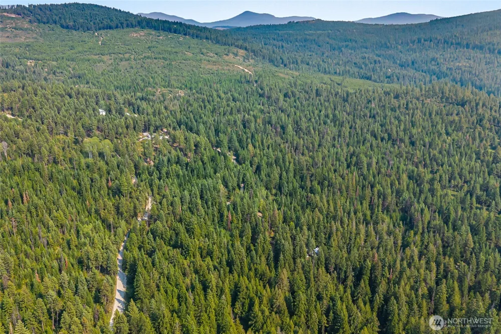 2423 Quinns Meadow Road #L Colville, WA 99114