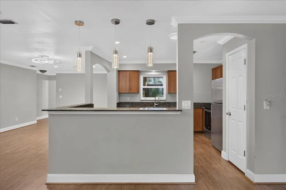 1221 E LIME STREET Tarpon Springs, FL 34689