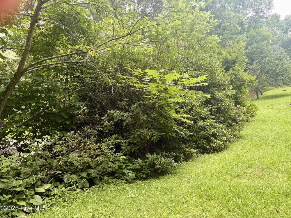 913 Franks Creek Road Robbinsville, NC 28771