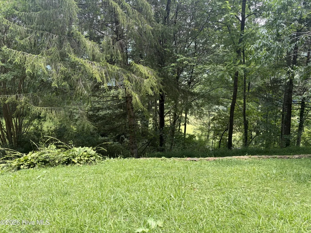 913 Franks Creek Road Robbinsville, NC 28771