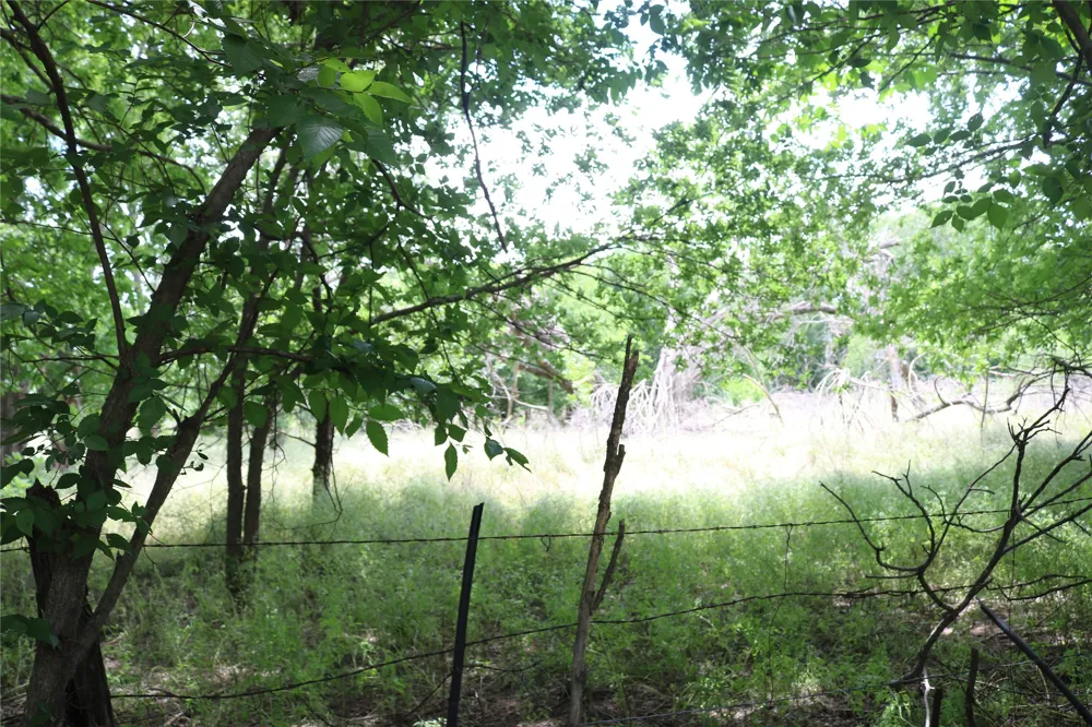 County Road 282 Dublin, TX 76446
