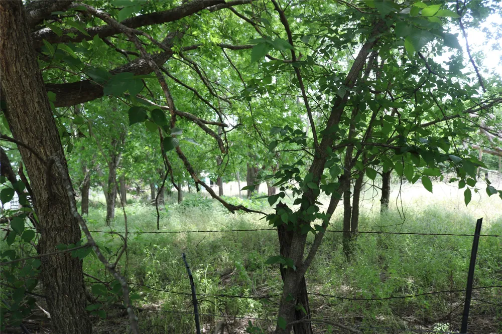 County Road 282 Dublin, TX 76446
