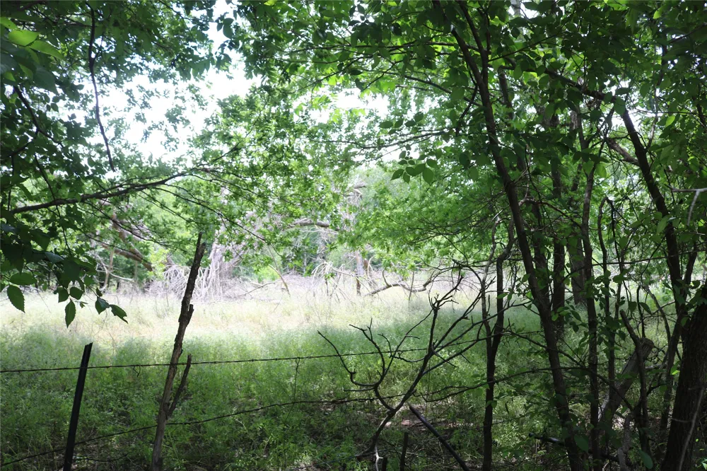County Road 282 Dublin, TX 76446