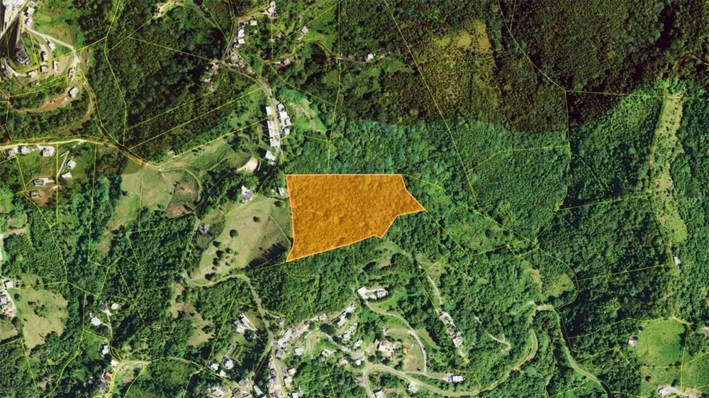 BO PENA POBRE HIGUERILLO CARR 31 SOLAR #1 Naguabo, PR 00718