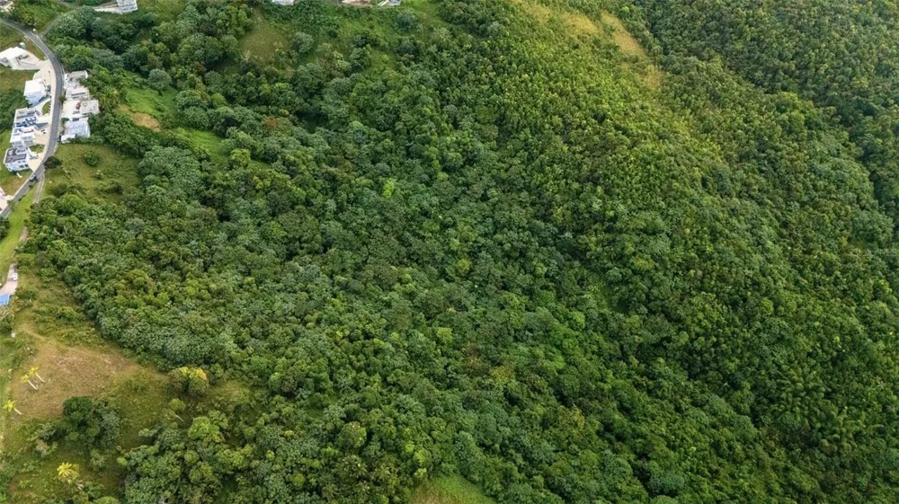 BO PENA POBRE HIGUERILLO CARR 31 SOLAR #1 Naguabo, PR 00718